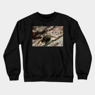 Stand Your Ground Crewneck Sweatshirt